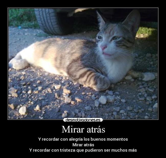 Mirar atrás -