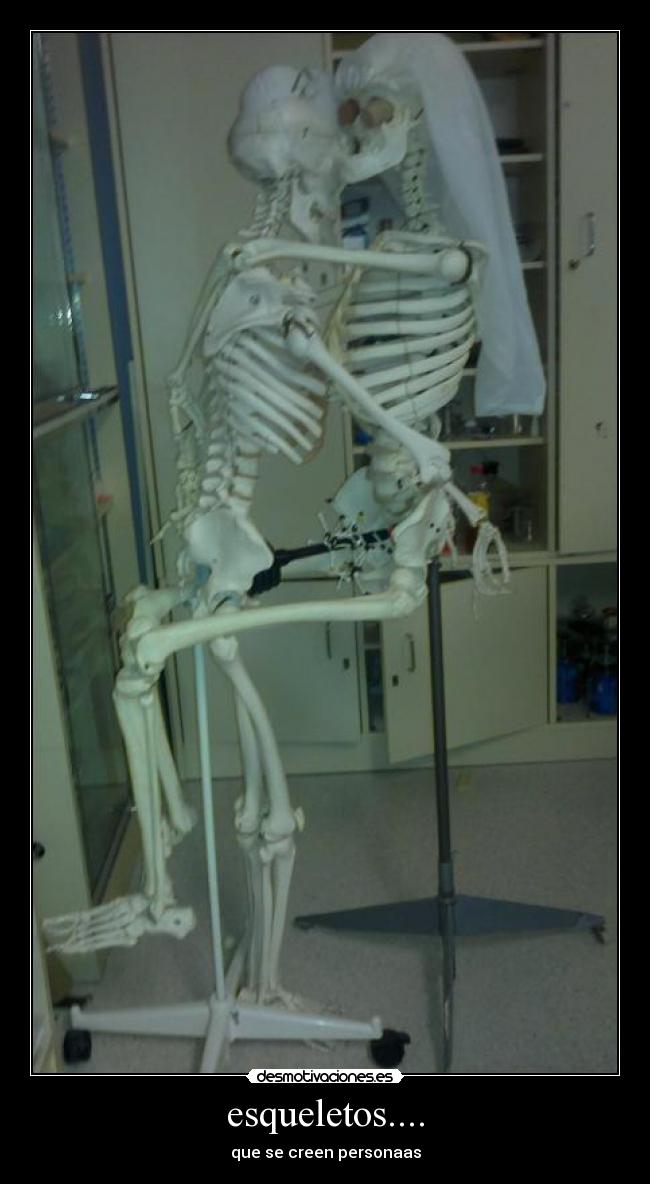 esqueletos.... -