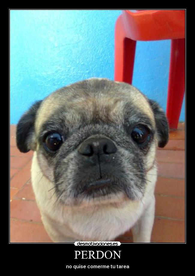 carteles alejandrabgomez desmotivaciones