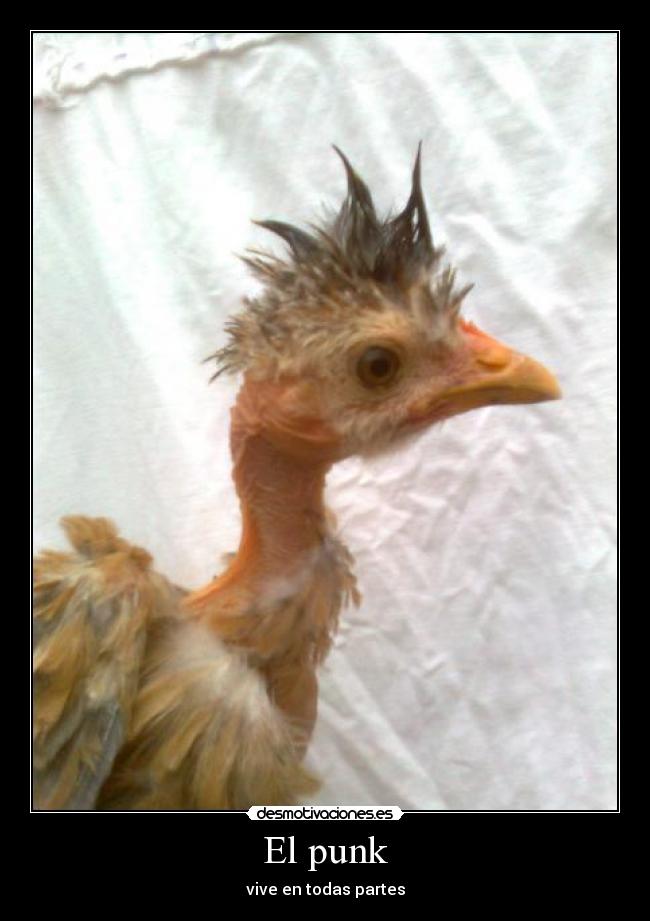 El punk -