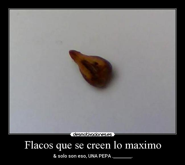 Flacos que se creen lo maximo - 