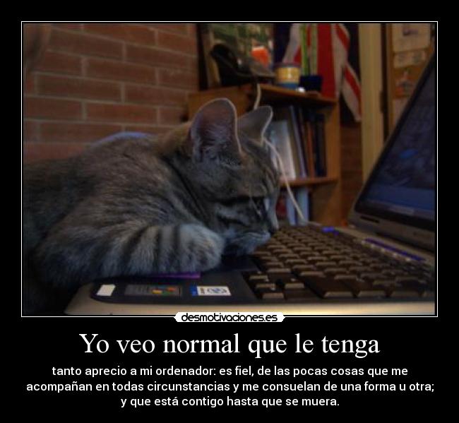 Yo veo normal que le tenga -