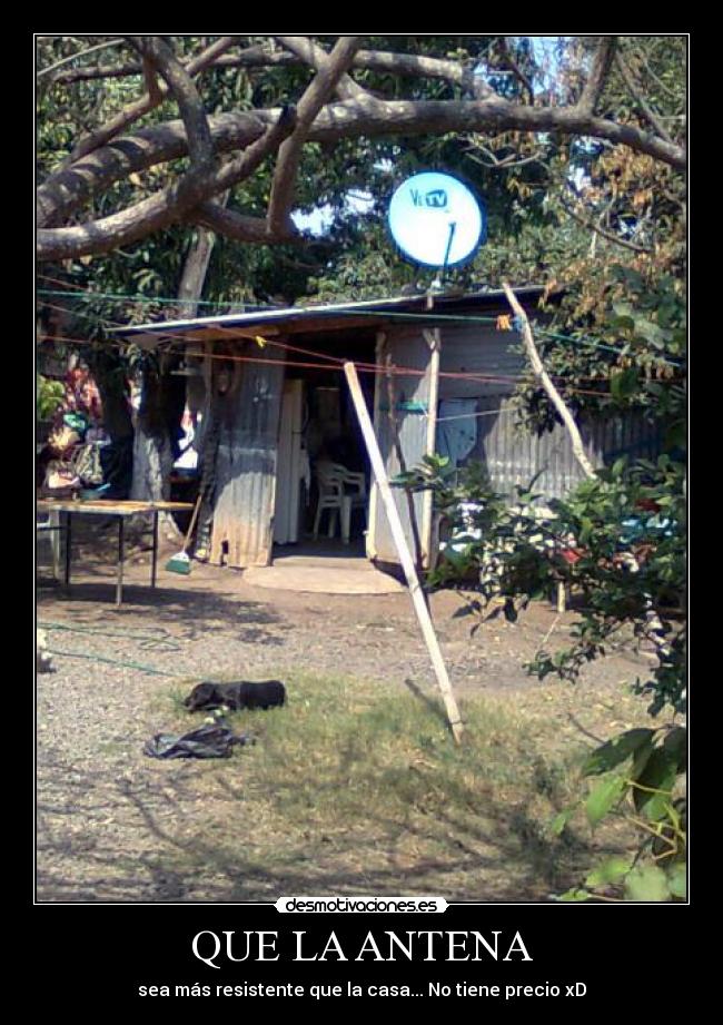 QUE LA ANTENA - sea más resistente que la casa... No tiene precio xD