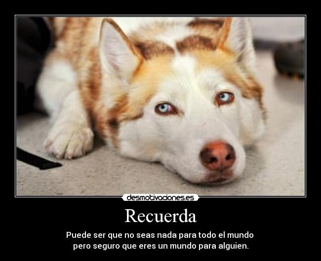 carteles recordar pensar blalalalala perro lobo desmotivaciones