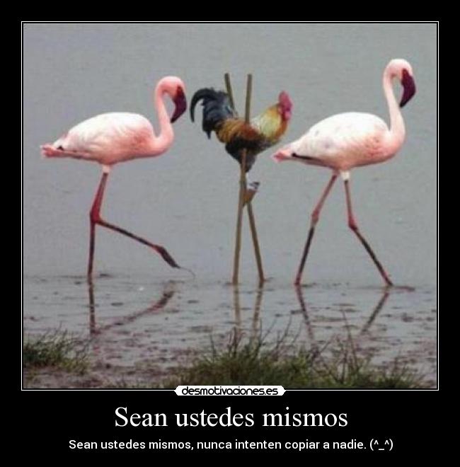 Sean ustedes mismos - Sean ustedes mismos, nunca intenten copiar a nadie. (^_^)
