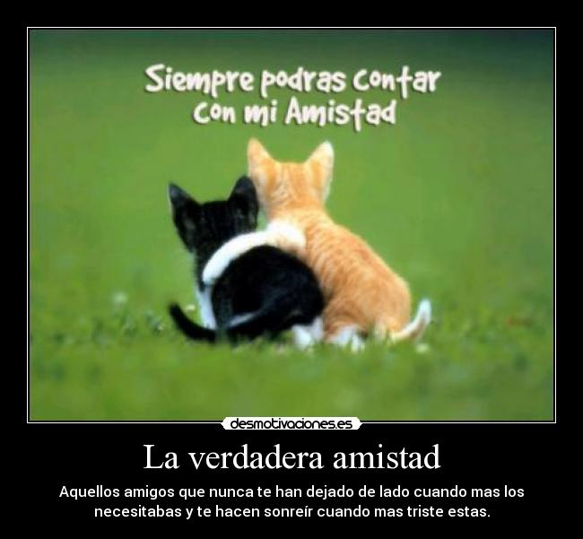 carteles amistad amistad desmotivaciones
