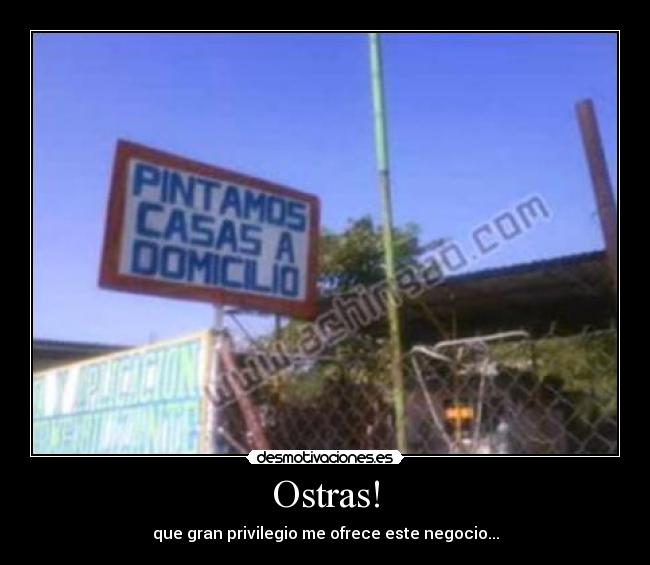 Ostras! - que gran privilegio me ofrece este negocio...