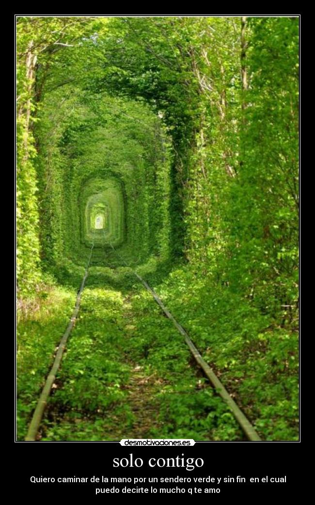 carteles wilo ramirez desmotivaciones