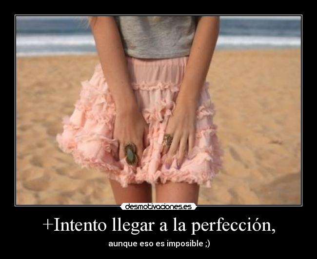 carteles intento llegar perfeccion desmotivaciones