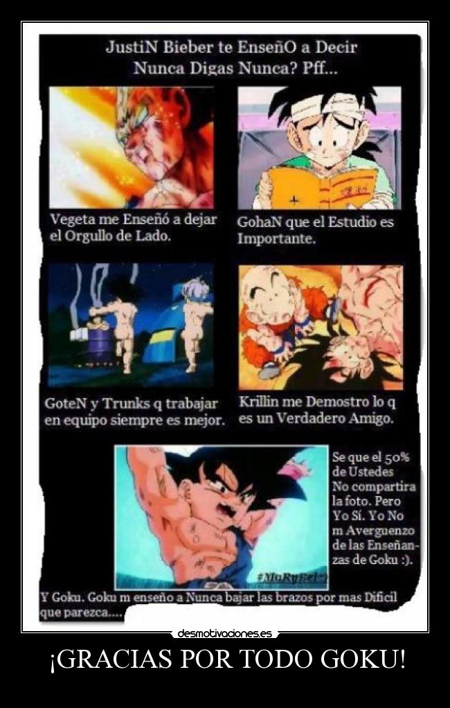 ¡GRACIAS POR TODO GOKU! -