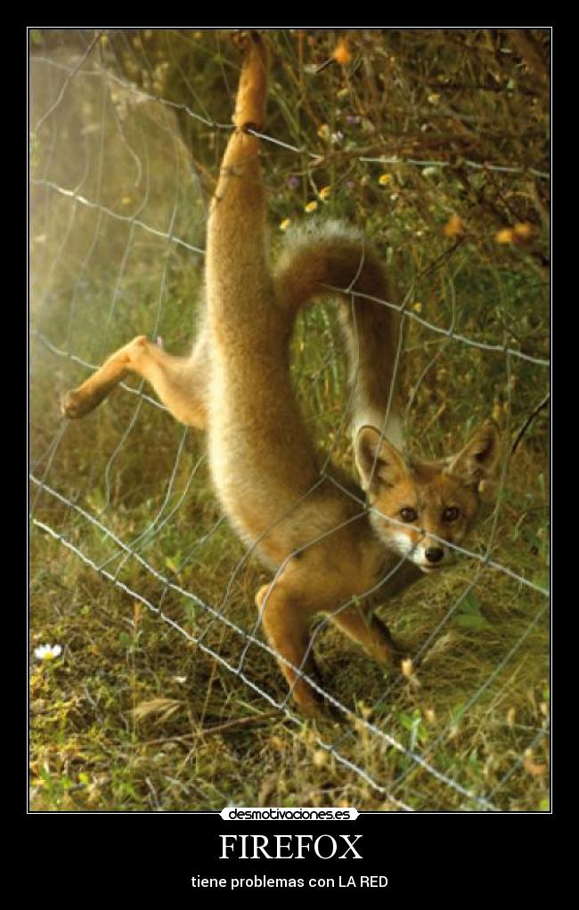FIREFOX - tiene problemas con LA RED