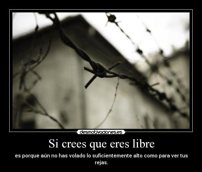 Si crees que eres libre - es porque aún no has volado lo suficientemente alto como para ver tus rejas.
