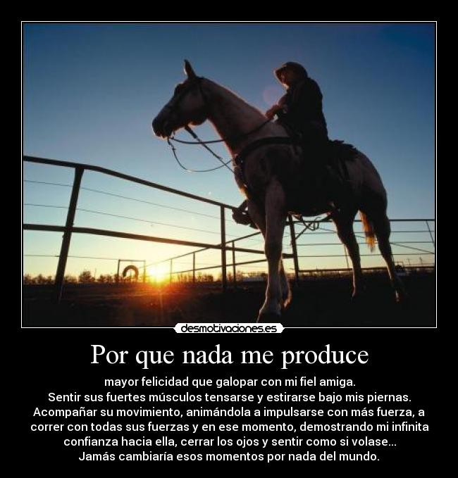Por que nada me produce - mayor felicidad que galopar con mi fiel amiga.
Sentir sus fuertes músculos tensarse y estirarse bajo mis piernas.
Acompañar su movimiento, animándola a impulsarse con más fuerza, a
correr con todas sus fuerzas y en ese momento, demostrando mi infinita
confianza hacia ella, cerrar los ojos y sentir como si volase...
Jamás cambiaría esos momentos por nada del mundo.