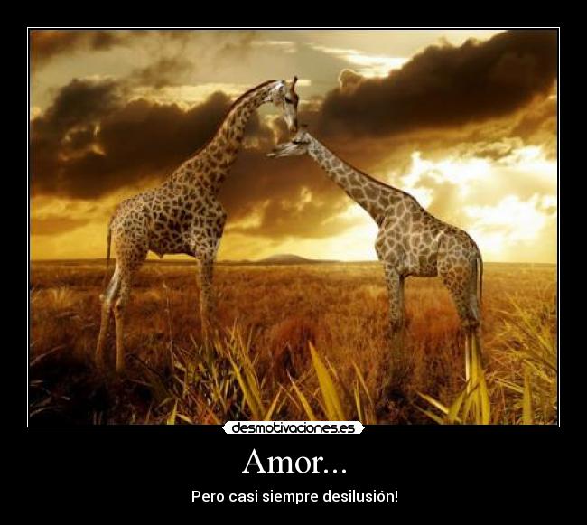 Amor... - Pero casi siempre desilusión!