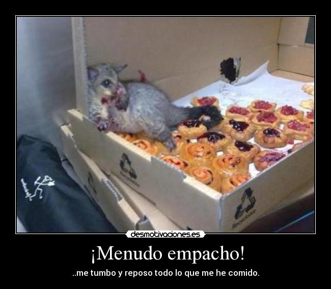 ¡Menudo empacho! - ..me tumbo y reposo todo lo que me he comido.