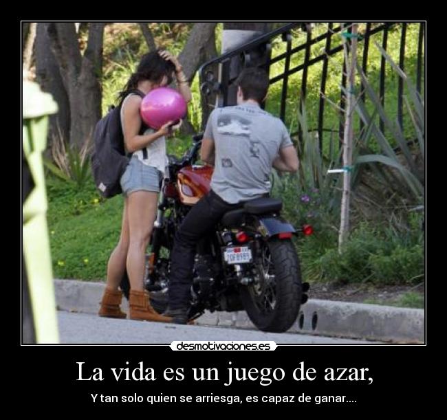 carteles vida azar desmotivaciones