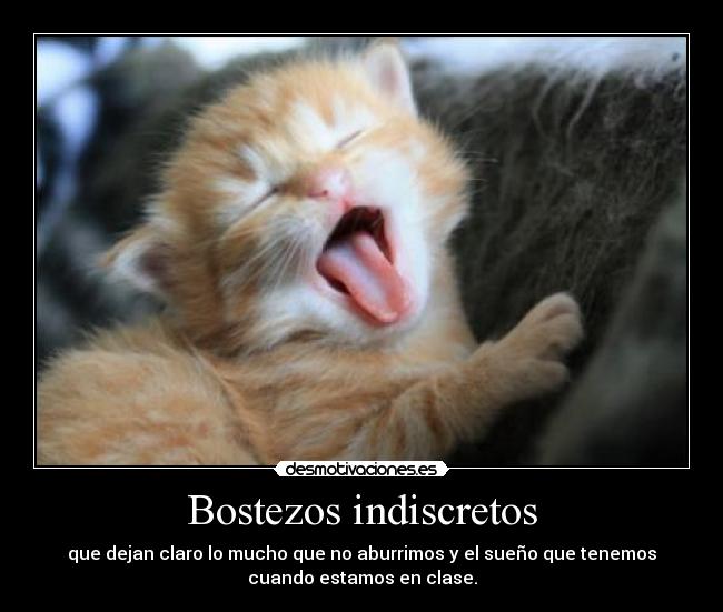 Bostezos indiscretos - 