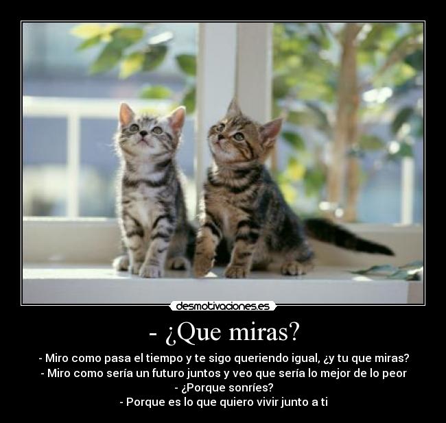 carteles unconditional love desmotivaciones