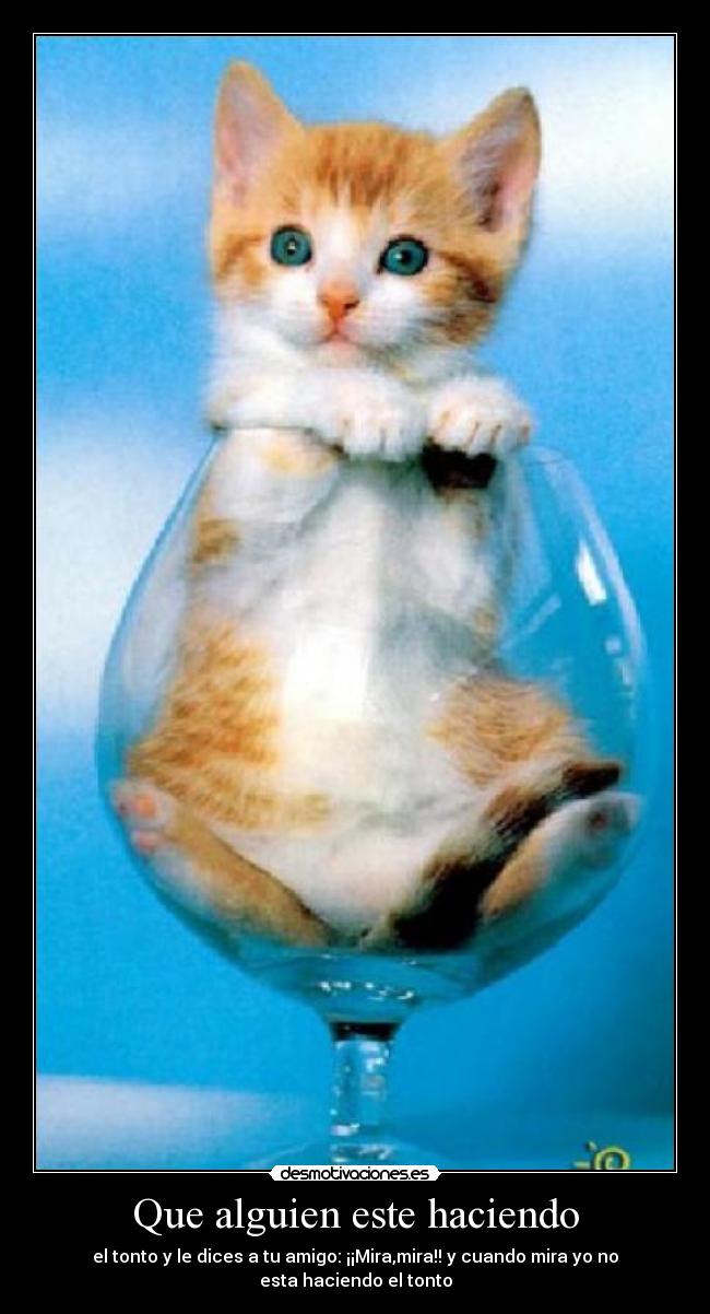 Que alguien este haciendo - el tonto y le dices a tu amigo: ¡¡Mira,mira!! y cuando mira yo no esta haciendo el tonto