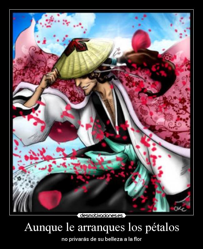 carteles bleach kyoraku desmotivaciones