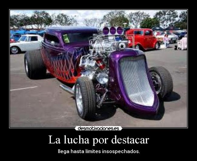 carteles mariatururu desmotivaciones