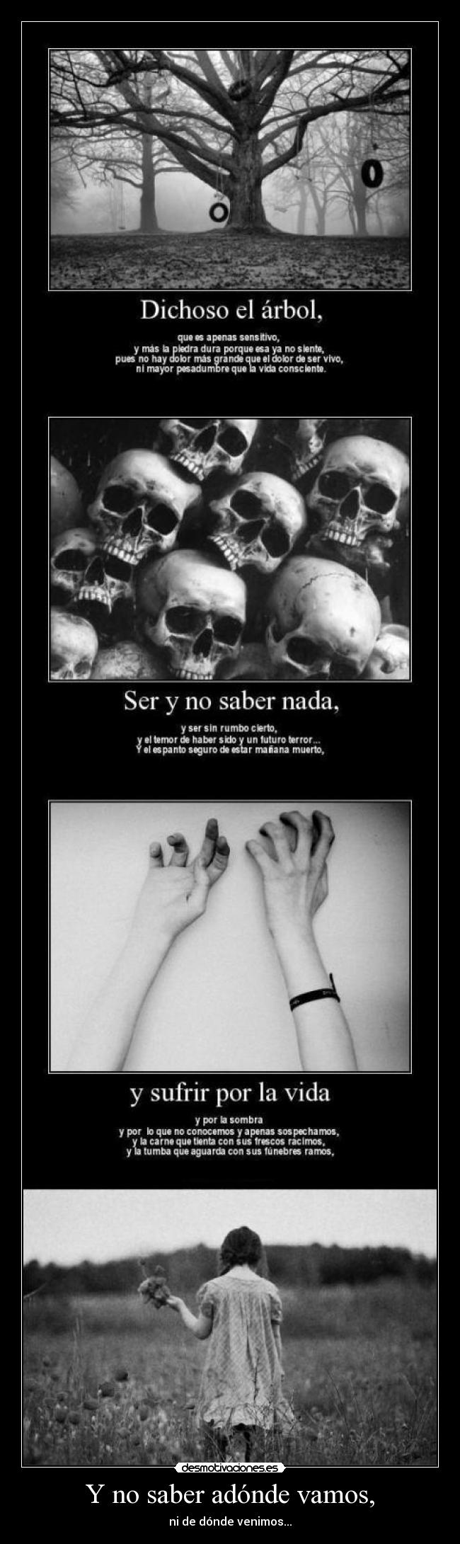 Y no saber adónde vamos, - ni de dónde venimos...