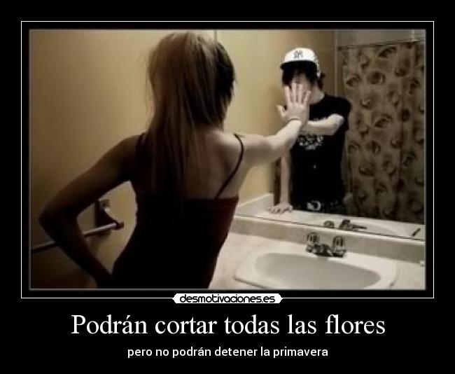 carteles tetox desmotivaciones