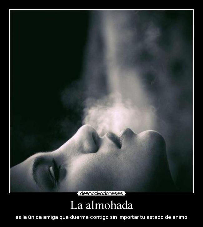 La almohada - es la única amiga que duerme contigo sin importar tu estado de animo.