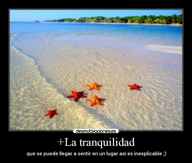 +La tranquilidad -