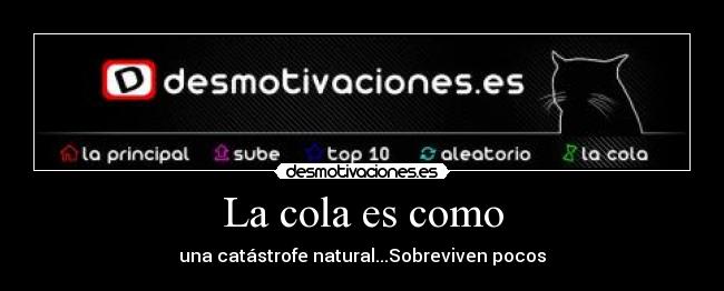 La cola es como - una catástrofe natural...Sobreviven pocos