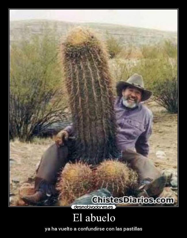 El abuelo -