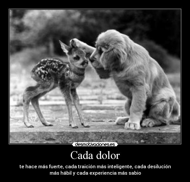 Cada dolor - te hace más fuerte, cada traición más inteligente, cada desilución
más hábil y cada experiencia más sabio