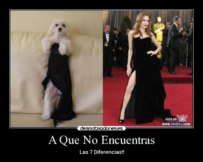 A Que No Encuentras - Las 7 Diferencias!!