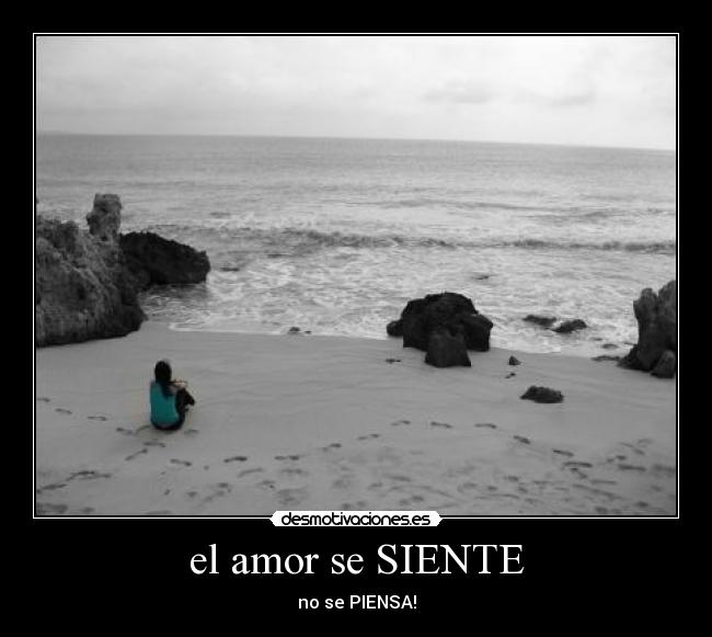 el amor se SIENTE -