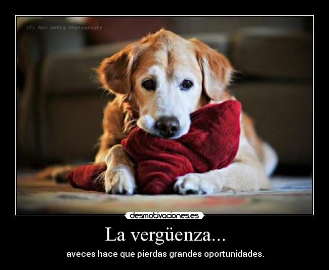 La vergüenza... -