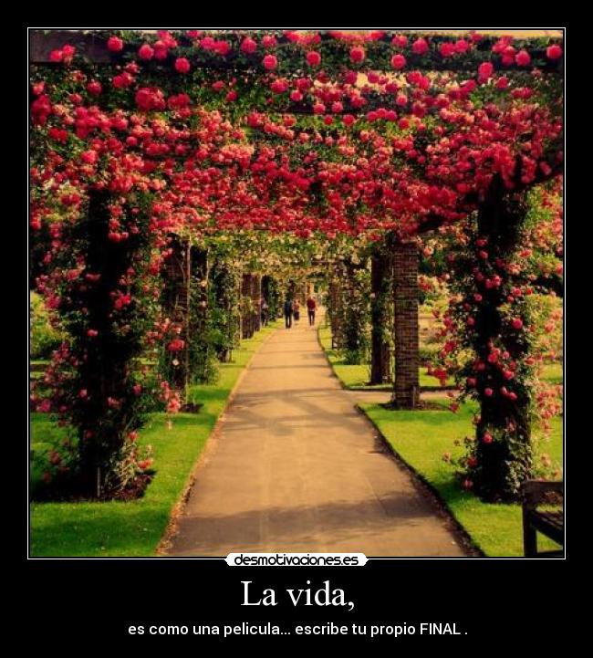 La vida, -