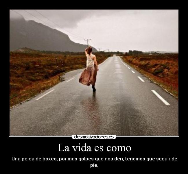 La vida es como - Una pelea de boxeo, por mas golpes que nos den, tenemos que seguir de pie.