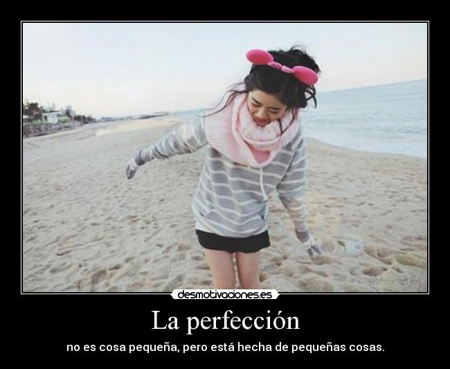La perfección -