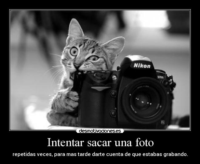 Intentar sacar una foto - repetidas veces, para mas tarde darte cuenta de que estabas grabando.