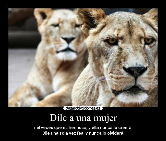 Dile a una mujer - 