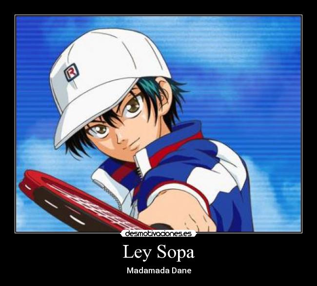 Ley Sopa - Madamada Dane