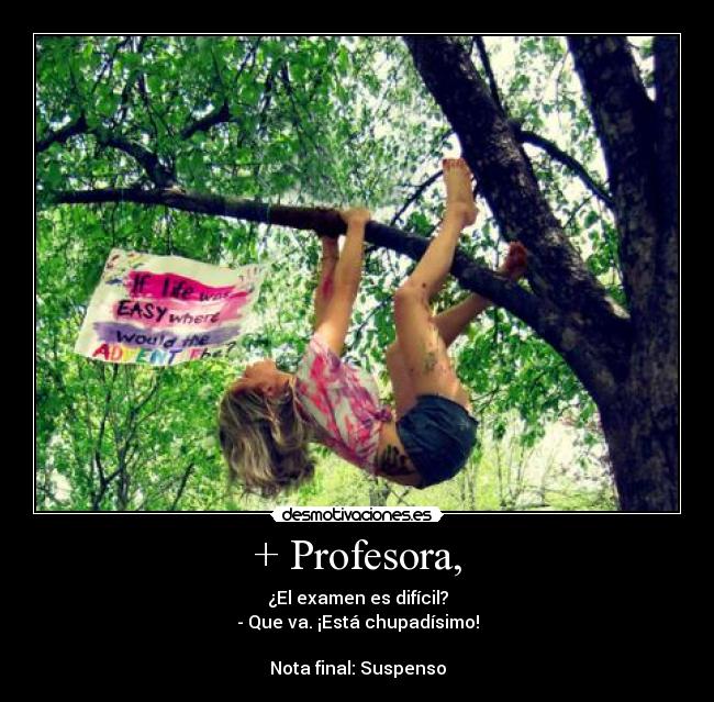 + Profesora, -