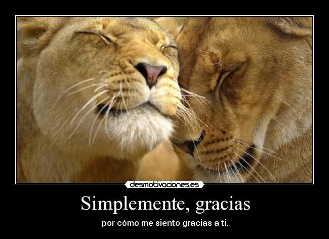 Simplemente, gracias - 