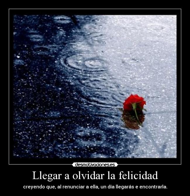 Llegar a olvidar la felicidad - creyendo que, al renunciar a ella, un día llegarás e encontrarla.