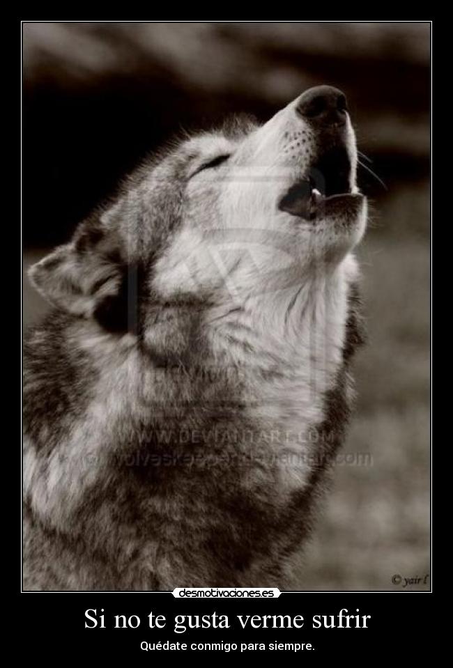 Si no te gusta verme sufrir -