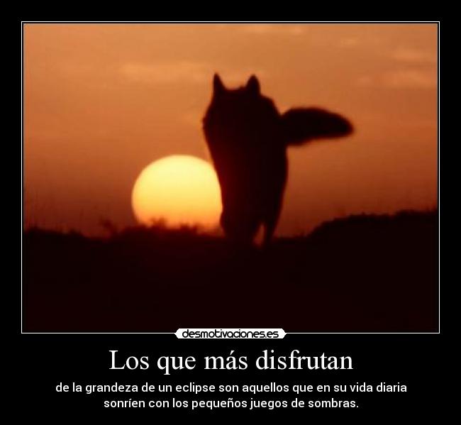 carteles sombras desmotivaciones