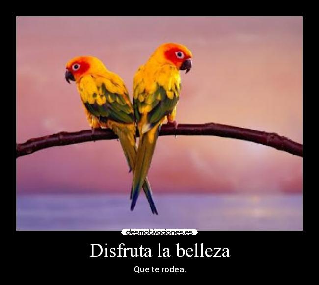 Disfruta la belleza - Que te rodea.