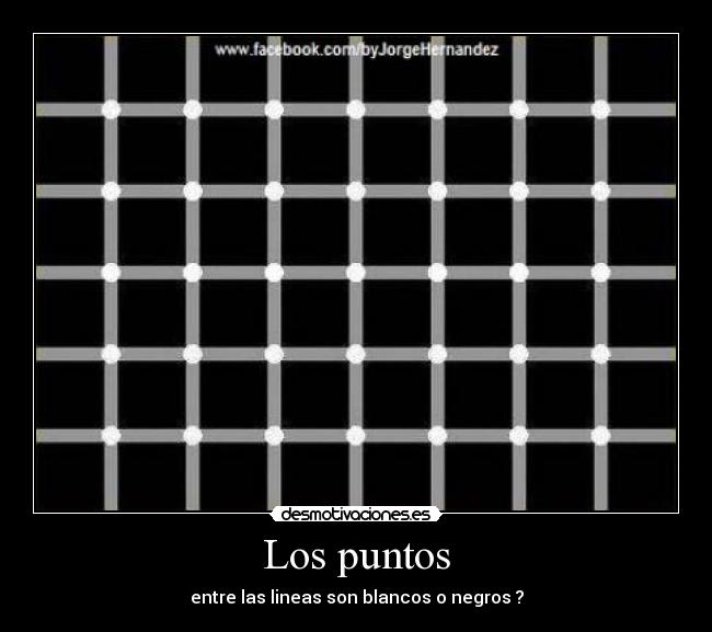 Los puntos - entre las lineas son blancos o negros ?