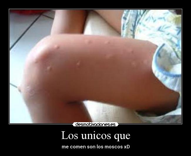 Los unicos que - me comen son los moscos xD