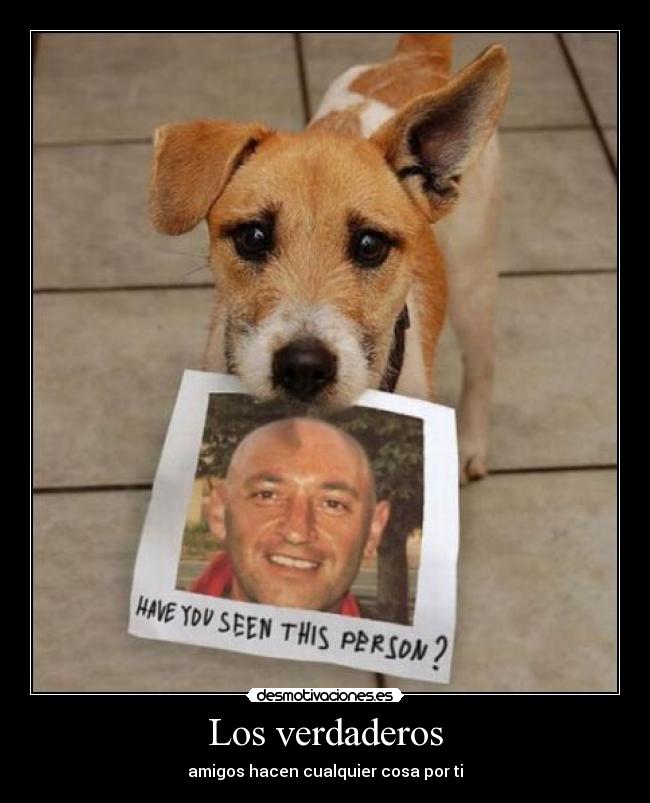 Los verdaderos - amigos hacen cualquier cosa por ti